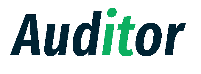 Auditor SaaS